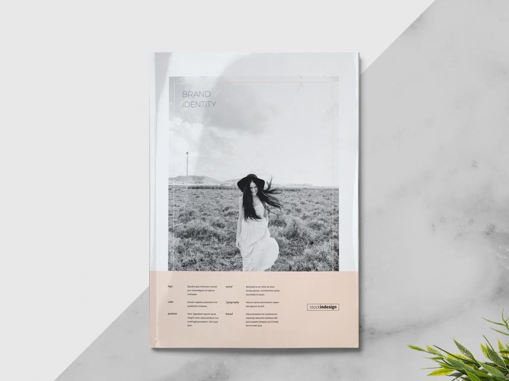 Brand Manual Brand manual Booklet design Indesign