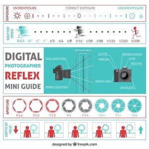 pandigital digital photo frame manual